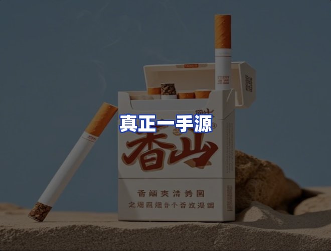 专业团队